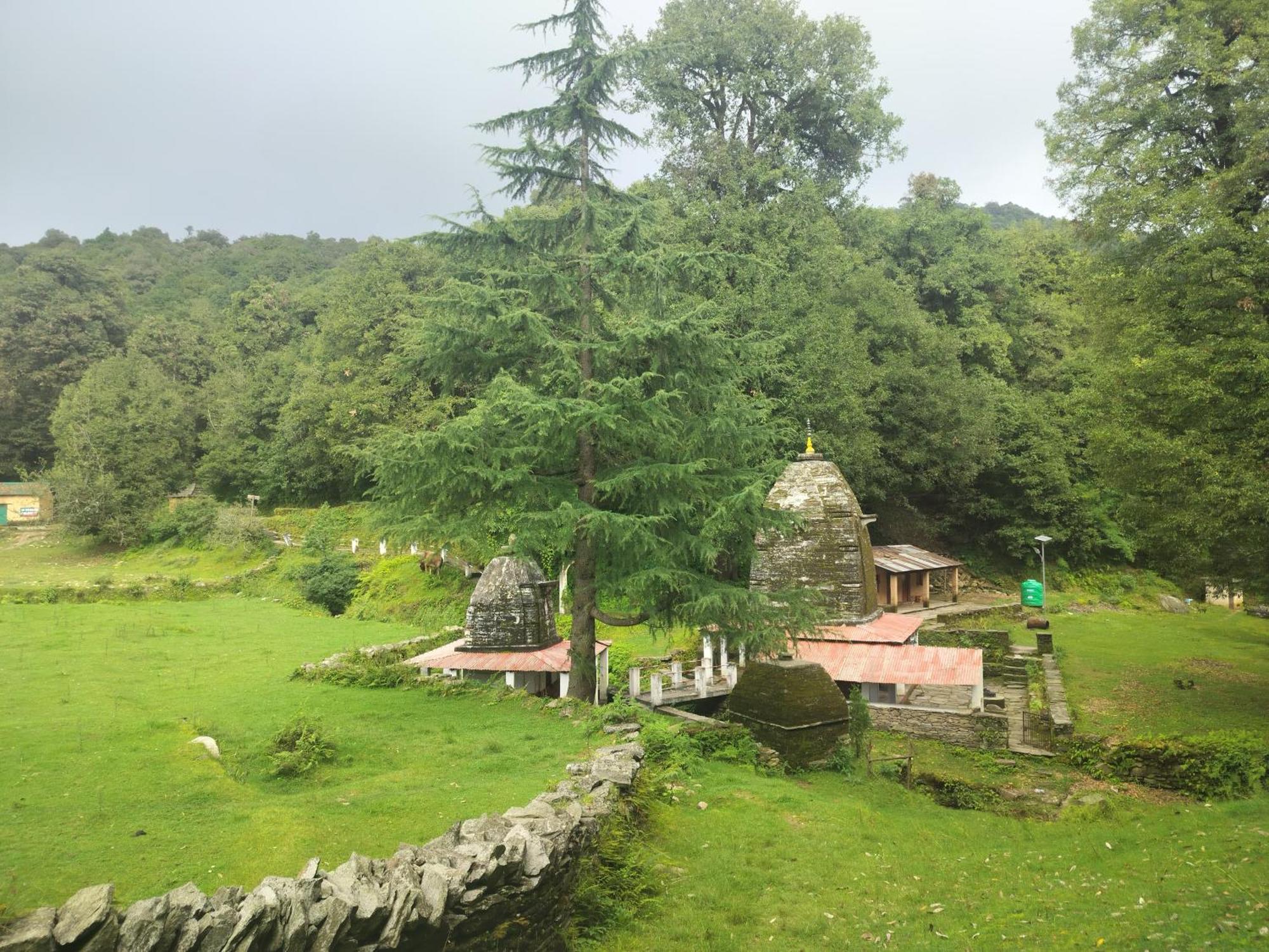 Simba Jungle Lodge, Binsar Wildlife Sanctuary Εξωτερικό φωτογραφία