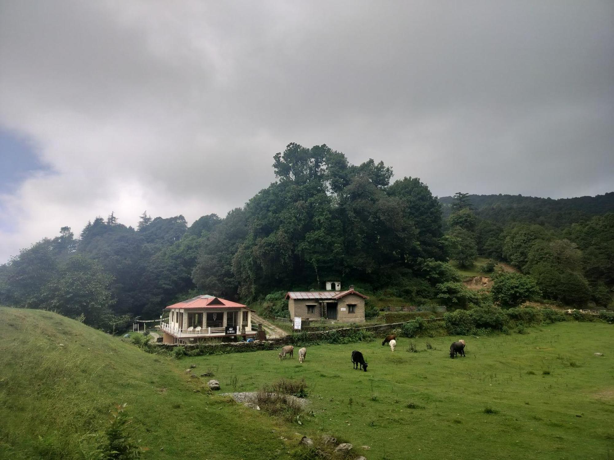 Simba Jungle Lodge, Binsar Wildlife Sanctuary Εξωτερικό φωτογραφία