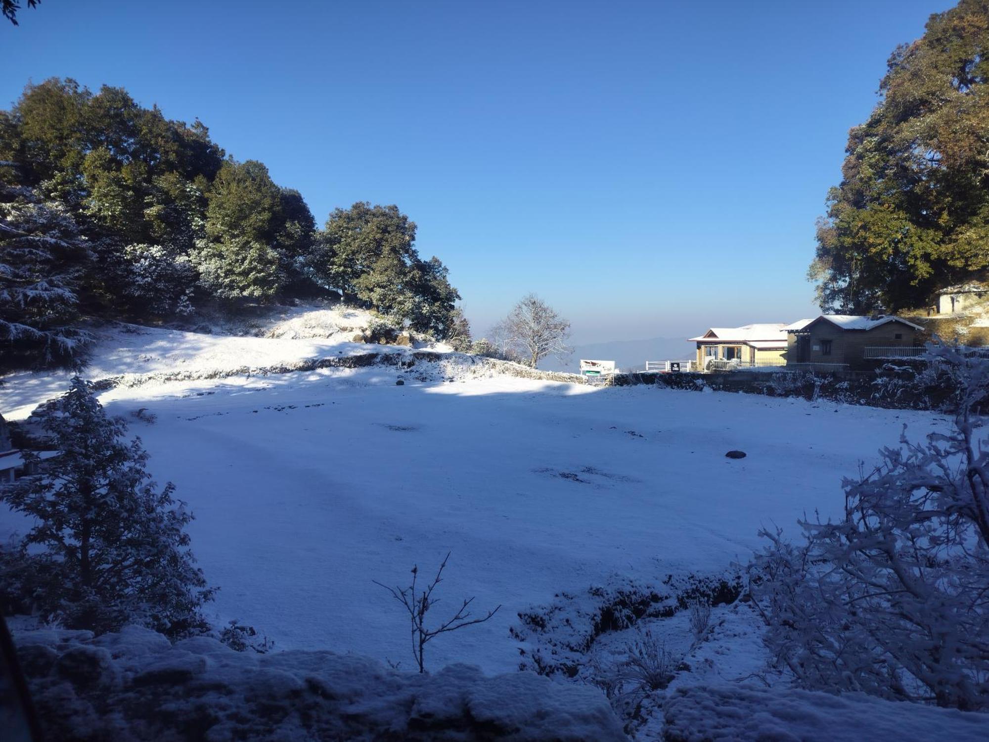 Simba Jungle Lodge, Binsar Wildlife Sanctuary Εξωτερικό φωτογραφία